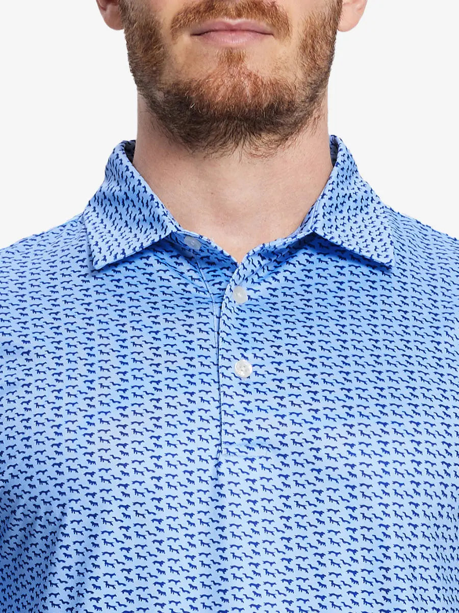 showcasing the blue navy dogs pattern polo shirt, highlighting its playful design and comfortable fabric