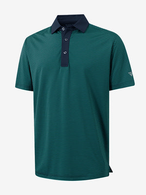 3D view of turquoise stripe upgraded two-tone striped quick dry polo shirt.