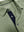 Ultra-comfort Slim Fit Roma Knit Polo Shirts